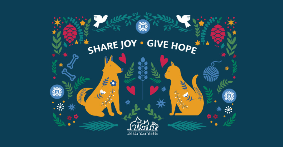 Cultivate a Season of Care: Donate to the Irvine Animal Care Center Holiday Donation Drive