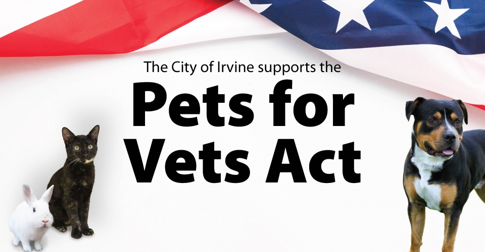 city pet vets