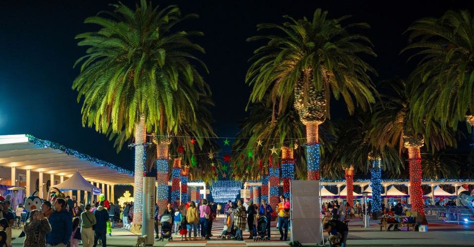Palm Court Lights