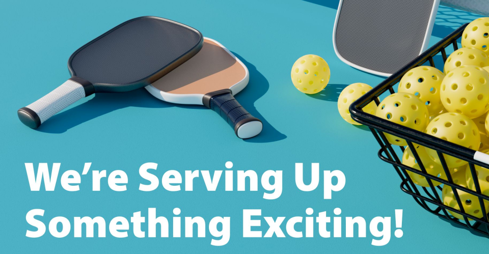 Pickleball paddles and balls