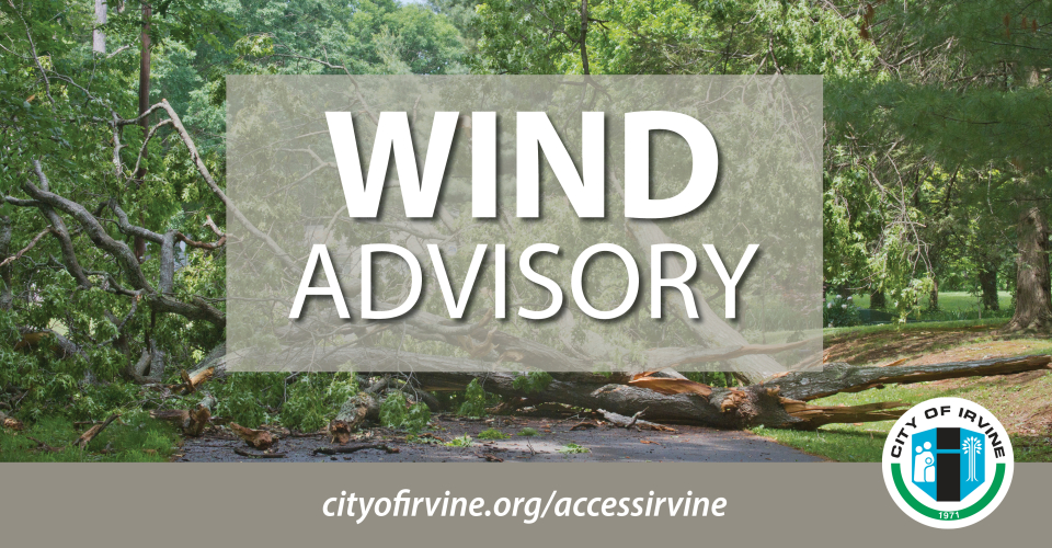 Tree on the ground with the words Wind Advisory over the image