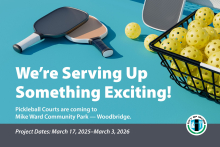 Pickleball paddles and balls