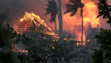 A structure on fire with palm trees blowing in the wind and flames behind them. 