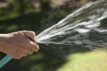 Drought Survival Expo – Learn, Explore, Act